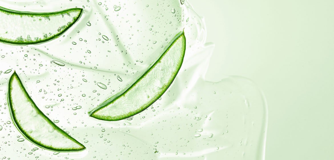 Scheiben von Aloe vera schwimmen in Aloe-Gel. Die Scheiben sind halbmondförmig, innen klar und haben einen kräftig grünen Rand. Das Gel selbst ist klar mit vielen Luftblasen.